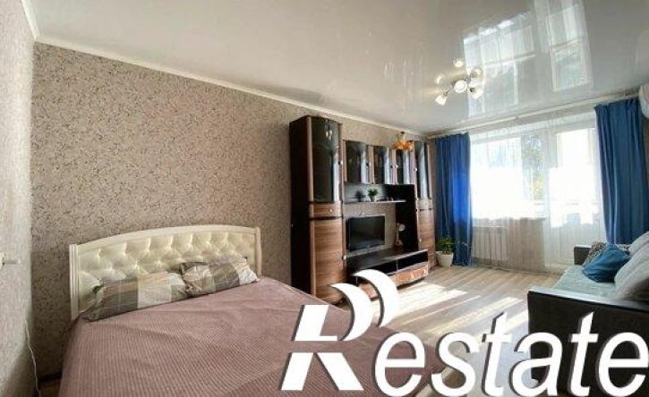 1-комн квартира улица Терешковой, 243/1,  д. 243/1